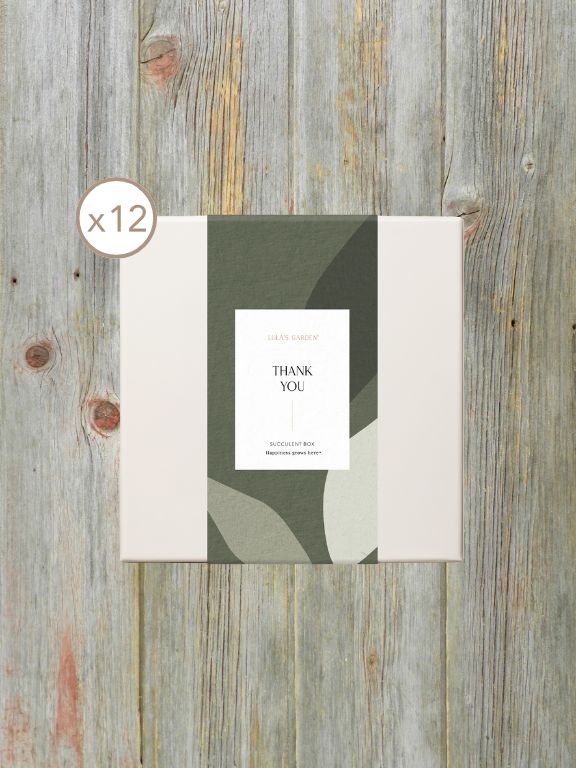 LULAS GARDEN URBAN SLEEVE - THANK YOU